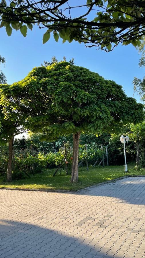 Gaestehaus Eschment Bissersheim Ngoại thất bức ảnh